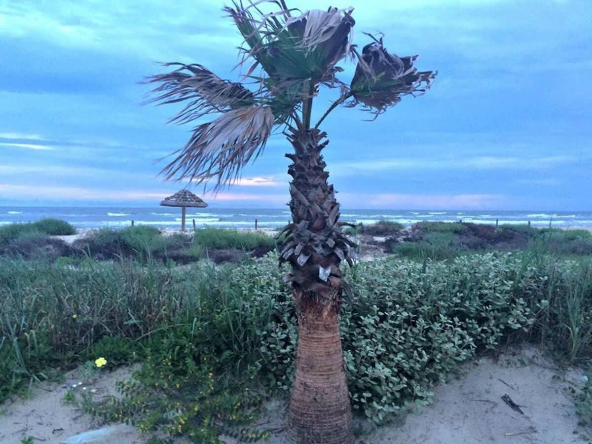 סרפסייד ביץ' Fun In The Sun! Cozy Beach Pad, Gulf Views And Easy Access To The Sand! מראה חיצוני תמונה